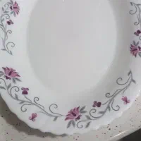 دیس ارکوپال