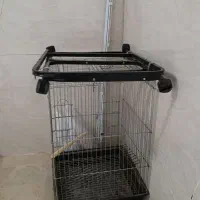قفس بزرگ عروس هلندی