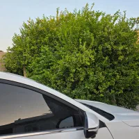 زمین باغشهری|فروش خانه و ویلا|مهر, |دیوار