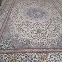 قالی