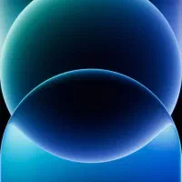 کلزار هیولا ۵۰به فروش میرسه