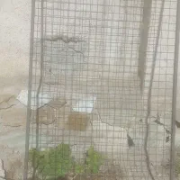 فنس باچهارچوب پلی کربنات دست دوم