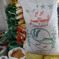 فروش ویژه برنج محلی فجر به قیمت عمده و مناسب