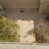 رهن کامل ۲خوابه ویلایی