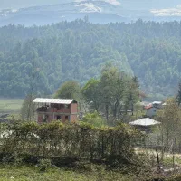 زمین فروشی|فروش زمین و ملک کلنگی|آلاشت, |دیوار