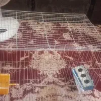 فروش قفس پرنده بزرگ