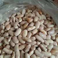 فروش لوبیا چیتی،لوبیا سفید قیمت مناسب ۳۵۰|حراج|قزوین, |دیوار