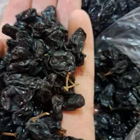 مویز