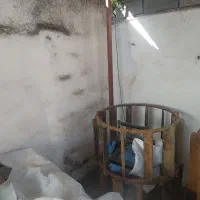 تریلر مزرعه 14 اسب همراه مشتقات|ماشینآلات صنعتی|دابودشت, |دیوار