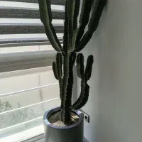 نیروی نظافت