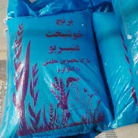 برنج عنبر بو خوزستان