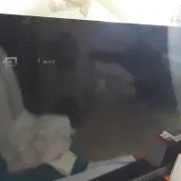 تلویزیون ۴۶ اینچ سونی|تلویزیون و پروژکتور|تبریز, |دیوار