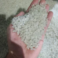 جذب نیروی اقا حداقل 25 میلیون