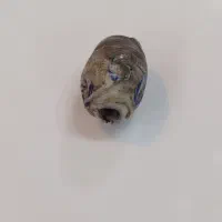 انواع مهره مرجان کهربا چشم زخم زردو تبتی و غیره|کلکسیون اشیاء عتیقه|بندرعباس, |دیوار