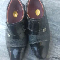 کفش مجلسی|کیف، کفش، کمربند|معمولان, |دیوار