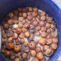 سرکه سیب طبیعی|خوردنی و آشامیدنی|شاهین‌شهر, گرگاب|دیوار