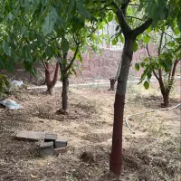 ۳۸۰متر با جواز دماوند مشا آبعلی مشاء