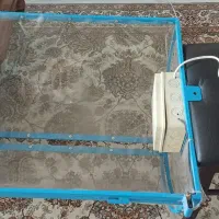 فواره توپ .خانه بازی