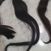 تعدادی مو|حراج|محمدشهر, |دیوار