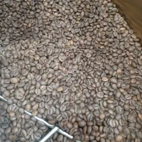 دانه قهوه عربیکا و ربوستا|کافیشاپ و رستوران|اراک, |دیوار