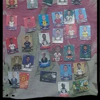 انواع کیمدی