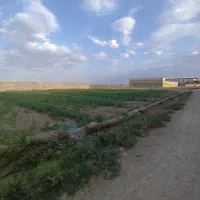 فروش  چهاردیواری مجوز  باغ۶۲۰ متری  قهجاورستان|فروش زمین و ملک کلنگی|اصفهان, قهجاورستان|دیوار