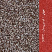 تافتینگ نویان ظریف مصور|موکت|قم, نیروگاه|دیوار