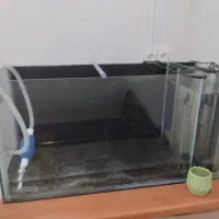 آکواریوم آب شور