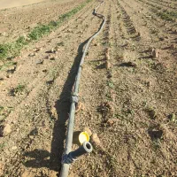 لوله بارانی 63و50و90 درجه یک کمند تاب کرمانشاه