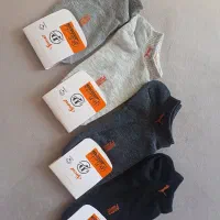 پخش جوراب زنانه مردانه عمده تولیدی|لباس|نیشابور, شهرآرا|دیوار