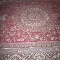 فرش 12مترسالم قرمز قرمزه تو تاریکی ازش عکس گرفتم|فرش|قم, علی آباد سعدگان|دیوار