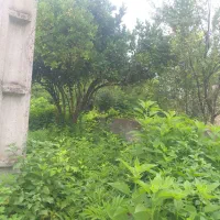 ی قطعه زمین۷۳ متری