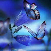 نیاز به ۲ کتاب