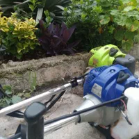 کلیه خدمات باغبانی پذیرفته میشود|خدمات باغبانی و درختکاری|رشت, پل تالشان|دیوار