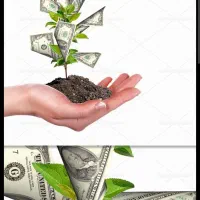 جذب سرمایه خرید و فروش بار غذای پت سود ماهانه ۵۰٪