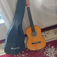 گیتار ملودیسا