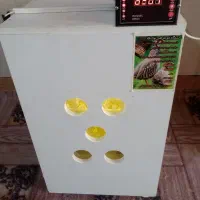 دستگاه جوجه کشی 126تای