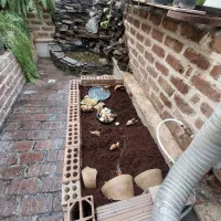 قبول واگذاری حلزون