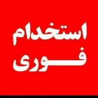 نیروی کار خانم کارگاه تولید رنگ هنری