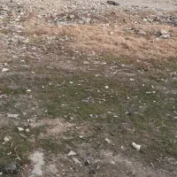 103-متر-زمین-کوی-بهار-تپه-قشلاق