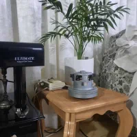 موتورجاروبرقی