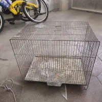 قفس پرنده