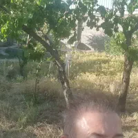 اجاره باغ شهر ۱۰۰۰ متری برای انباری و دپو|اجارهٔ خانه و ویلا|شیراز, باغشهر اهل بیت|دیوار