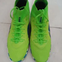 کفش نایک سالنی