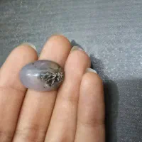 سنگ شجر