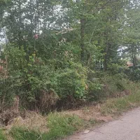 زمین-350-متری-مسکونی-در-لاهیجان-فروش-نقد-و-اقساط