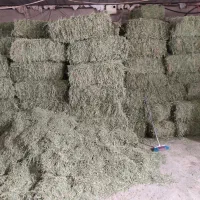 یونجه پرس شده