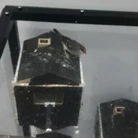 فنچ توت فرنگی|پرنده|اسلامشهر, شهرک جانبازان|دیوار