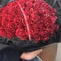 48گل 24شاخه