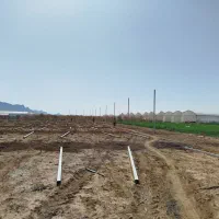 کارگر|استخدام معماری، عمران و ساختمانی|دهق, |دیوار